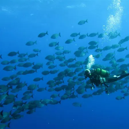 Casa de Férias Abades La Listada