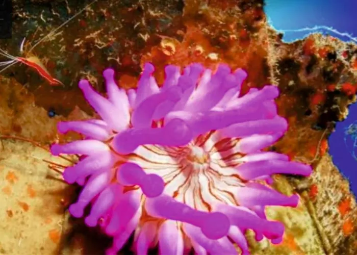 Σπίτι διακοπών Abades *