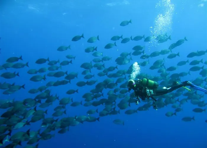 Holiday home Abades La Listada